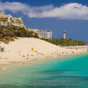 https://el-rayn.hotelsfuerteventura.org